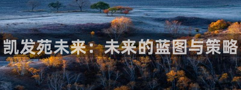 摩登73注册：凯发苑未来：未来的蓝图与策略