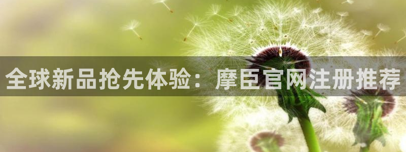 摩登7官网入口：全球新品抢先体验：摩臣官网注册推荐