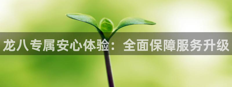 佛山市南海摩登7机电仪器有限公司：龙八专属安心体验：全面保障服务升级