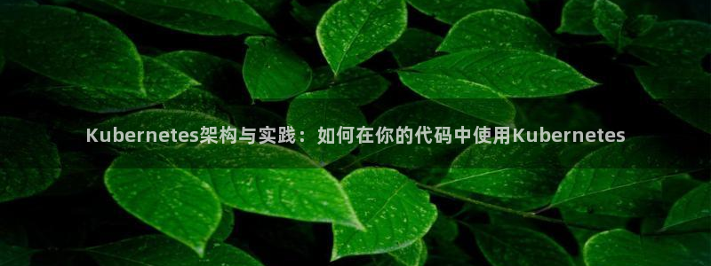 摩登7体育eon：Kubernetes架构与实践：如何在你的代码中使用Kuber