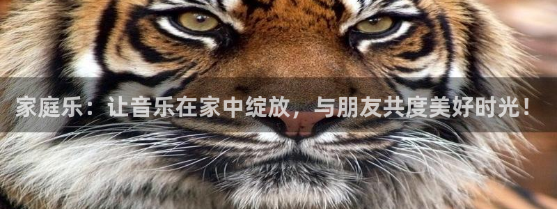 摩登7平台：家庭乐：让音乐在家中绽放，与朋友共度美好时光！