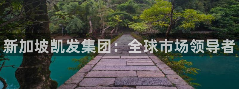 摩登75：新加坡凯发集团：全球市场领导者