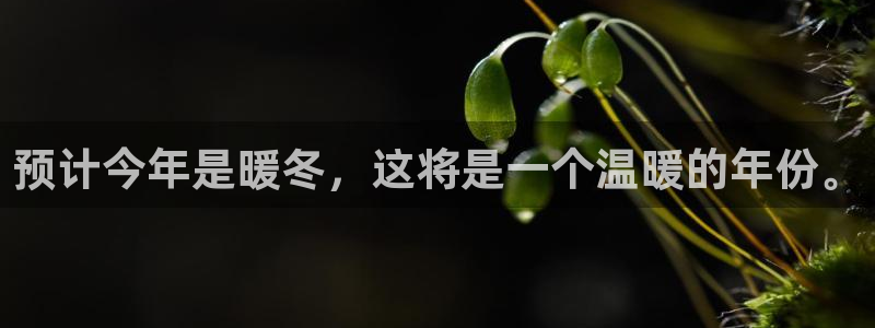 摩登7ccm麻将胡了：预计今年是暖冬，这将是一个温暖的年份。