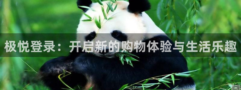 摩登7登陆：极悦登录：开启新的购物体验与生活乐趣