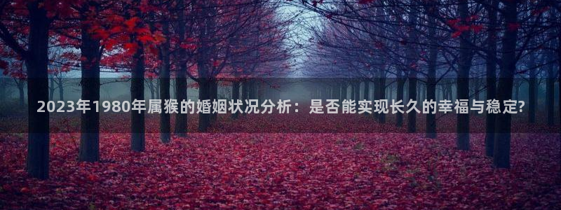 摩登7代理注册官网入口：2023年1980年属猴的婚姻状况分析：是否能实现长久的