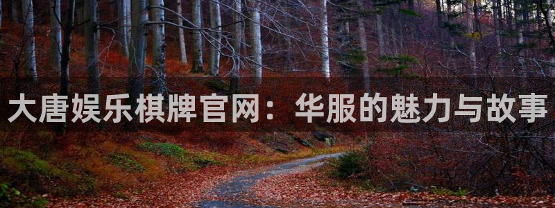 摩登7注册网页版：大唐娱乐棋牌官网：华服的魅力与故事