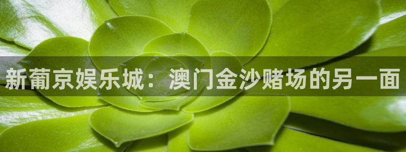 南宫摩登7官网下载链接：新葡京娱乐城：澳门金沙赌场的另一面