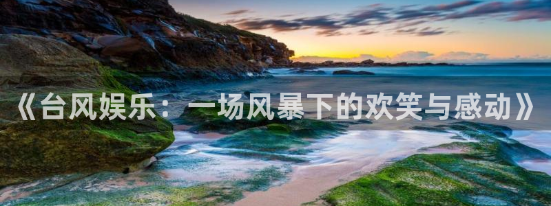 摩登7代理：《台风娱乐：一场风暴下的欢笑与感动》