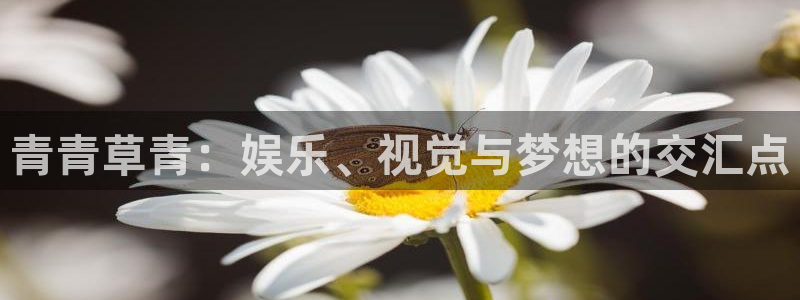 摩登72代理注册：青青草青：娱乐、视觉与梦想的交汇点