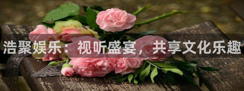 摩登7体育官网登录：浩聚娱乐：视听盛宴，共享文化乐趣
