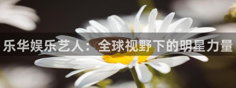 摩登7kgame：乐华娱乐艺人：全球视野下的明星力量